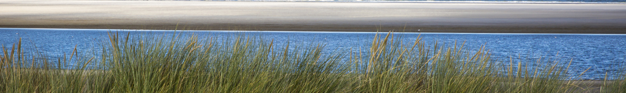 Coast Istock